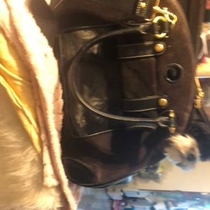 dog carrier limited limited edition by juicy.